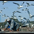 Essaouira 051