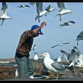 Essaouira 052