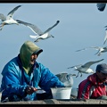 Essaouira 059