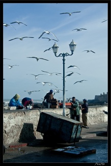 Essaouira 061