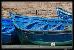 Essaouira 072