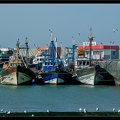 Essaouira 076