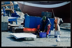 Essaouira 083