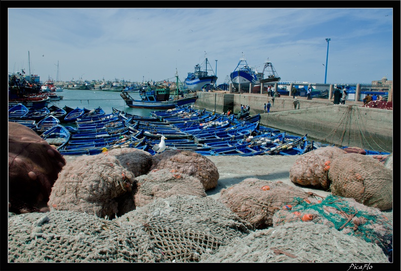 Essaouira_105.jpg