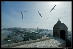 Essaouira 183