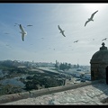 Essaouira 183