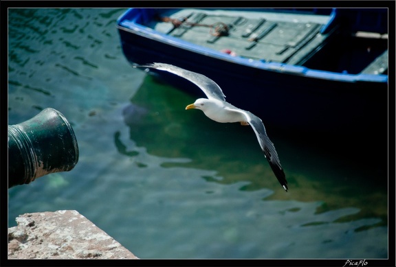 Essaouira 186