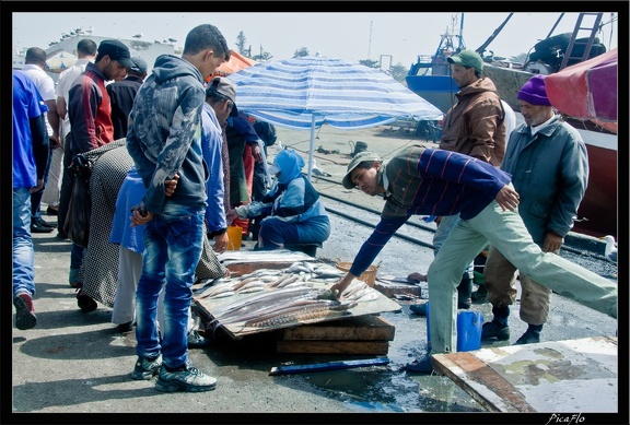 Essaouira 207