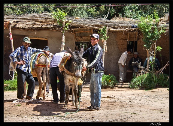 Marrakech berberes 07