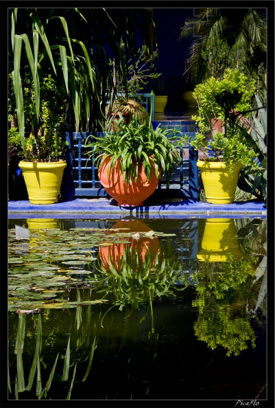 Marrakech jardins Majorelle 08