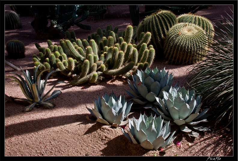 Marrakech jardins Majorelle 22