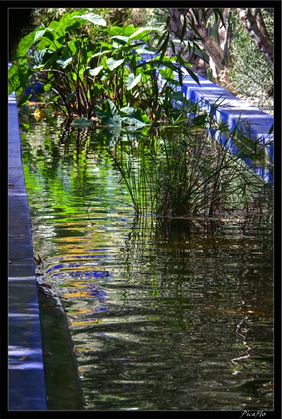 Marrakech jardins Majorelle 33