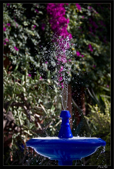 Marrakech jardins Majorelle 50