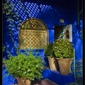 Marrakech jardins Majorelle 55