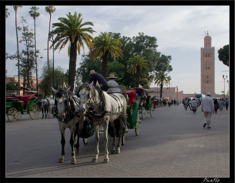 Marrakech place Djemaa El Fna 01