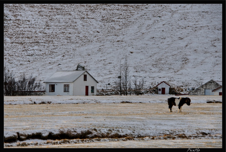 Islande_04_Skogafoss_006.jpg