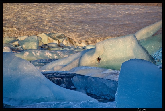 Islande 05 Skaftafell 052