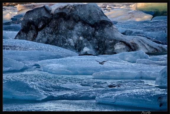 Islande 05 Skaftafell 055