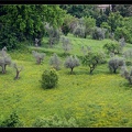 01 Florence Giordino Boboli 11