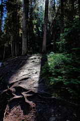 Canada 01 Johnston Canyon 12