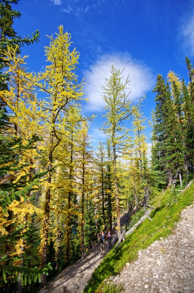 Canada_09_Lake_Agnes_Big_Behive_19.jpg