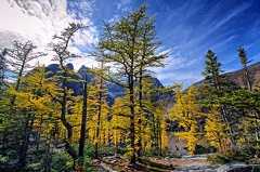 Canada 09 Lake Agnes Big Behive 26