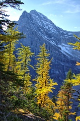 Canada 09 Lake Agnes Big Behive 35