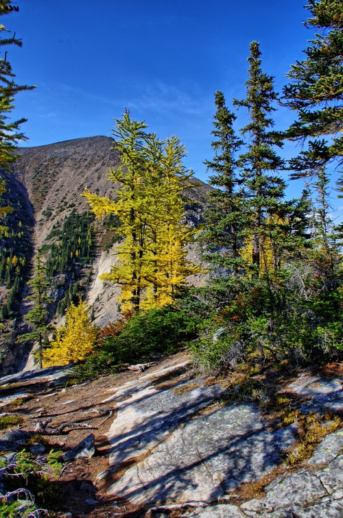 Canada 09 Lake Agnes Big Behive 40