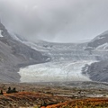 Canada 11 Glacier Athabasca 03