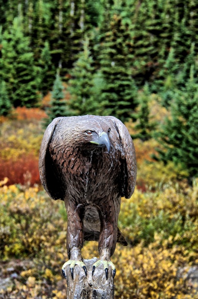 Canada_11_Glacier_Athabasca_20.jpg