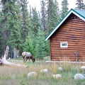 Canada 18 Pine Bungalows 03