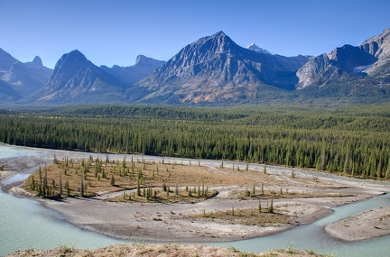 Canada 22 Icefields Parkway 04