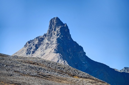 Canada 24 Parker Ridge trail 16