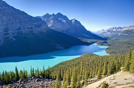 Canada 26 Peyto lake 03