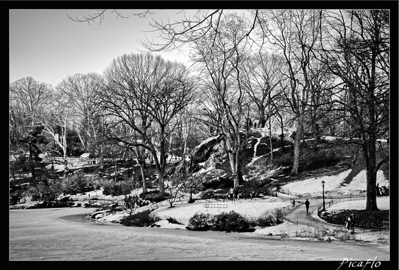 NYC 03 Central Park 04