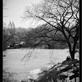 NYC 03 Central Park 06