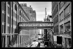 NYC 16 Highline 03
