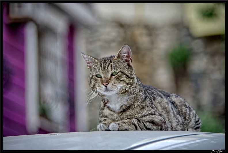 Istanbul_03_Sultanahmet_23.jpg