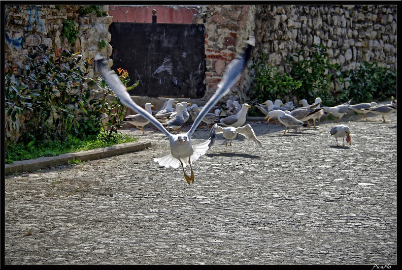 Istanbul_03_Sultanahmet_60.jpg