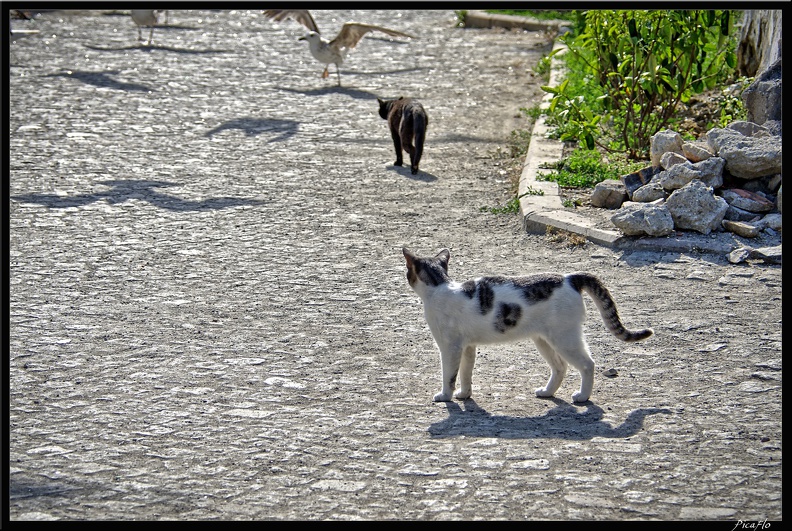 Istanbul_03_Sultanahmet_62.jpg