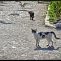 Istanbul 03 Sultanahmet 62