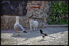 Istanbul 03 Sultanahmet 66