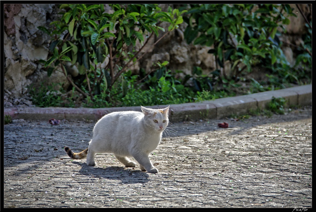 Istanbul 03 Sultanahmet 67