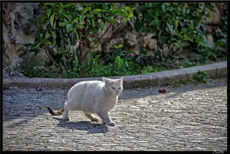 Istanbul_03_Sultanahmet_67.jpg