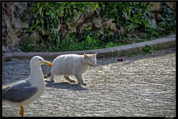 Istanbul 03 Sultanahmet 68