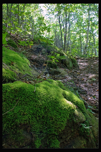 05_Reserve_Cap_Tourmente_014.jpg