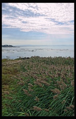 06 Ile aux Coudres 005