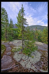 07 Parc Hautes Gorges 023