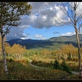 14 Parc National Gaspesie 027