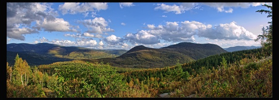 14 Parc National Gaspesie 029